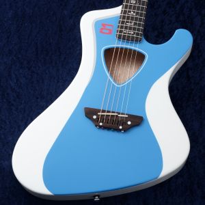 Acacia Guitars、その他トップ材のアコースティックギター検索