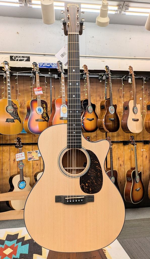 GPC-16E-02 Mahogany #2920652 | 【クロサワ楽器店オンラインショップ