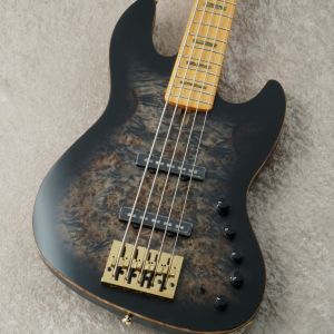 sire V10 DX5 エレキベース ハードケース付 5弦 特価 リペア済み sire