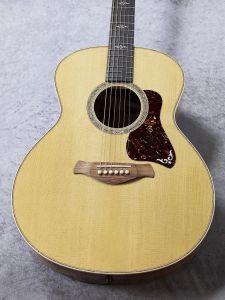 Taylor、ハードケースのアコースティックギター検索結果一覧