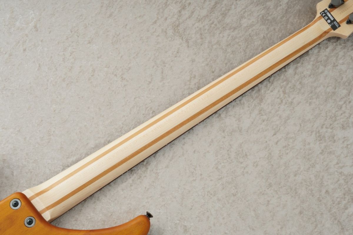 TRBX604FM -Matte Amber / MAM- #ILH093383 | 【クロサワ楽器店