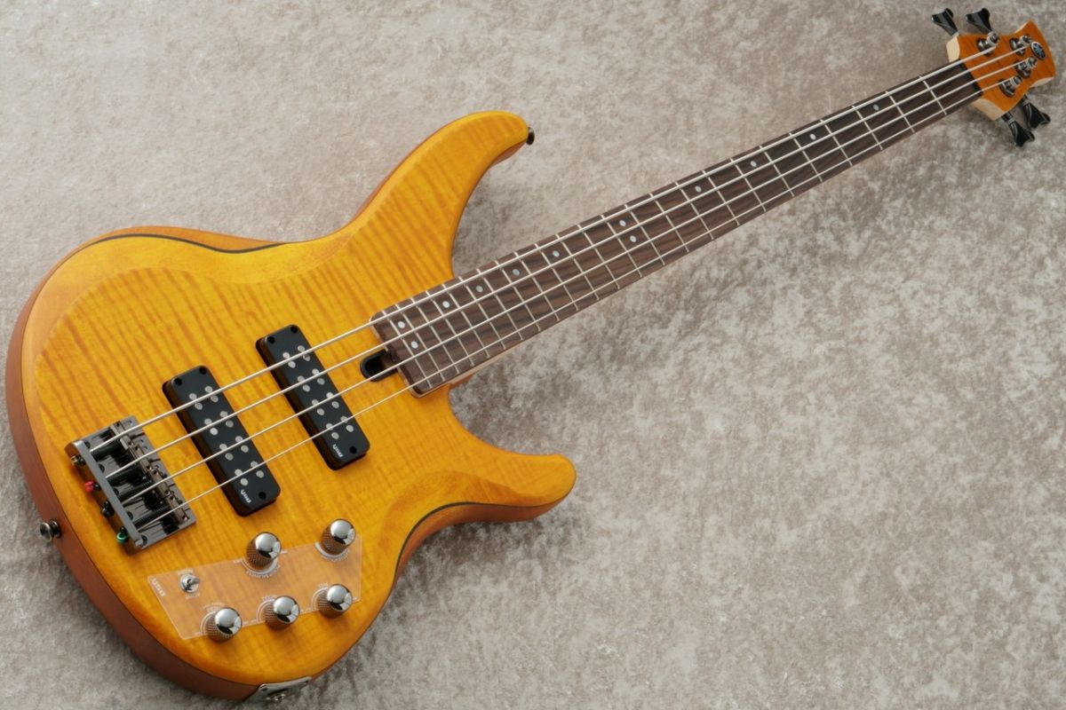 TRBX604FM -Matte Amber / MAM- #ILH093383 | 【クロサワ楽器店