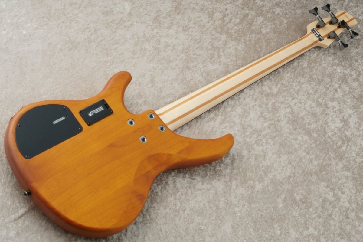 TRBX604FM -Matte Amber / MAM- #ILH093383 | 【クロサワ楽器店