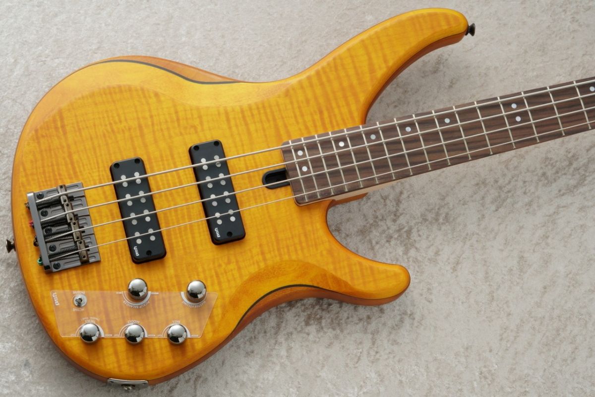 TRBX604FM -Matte Amber / MAM- #ILH093383 | 【クロサワ楽器店