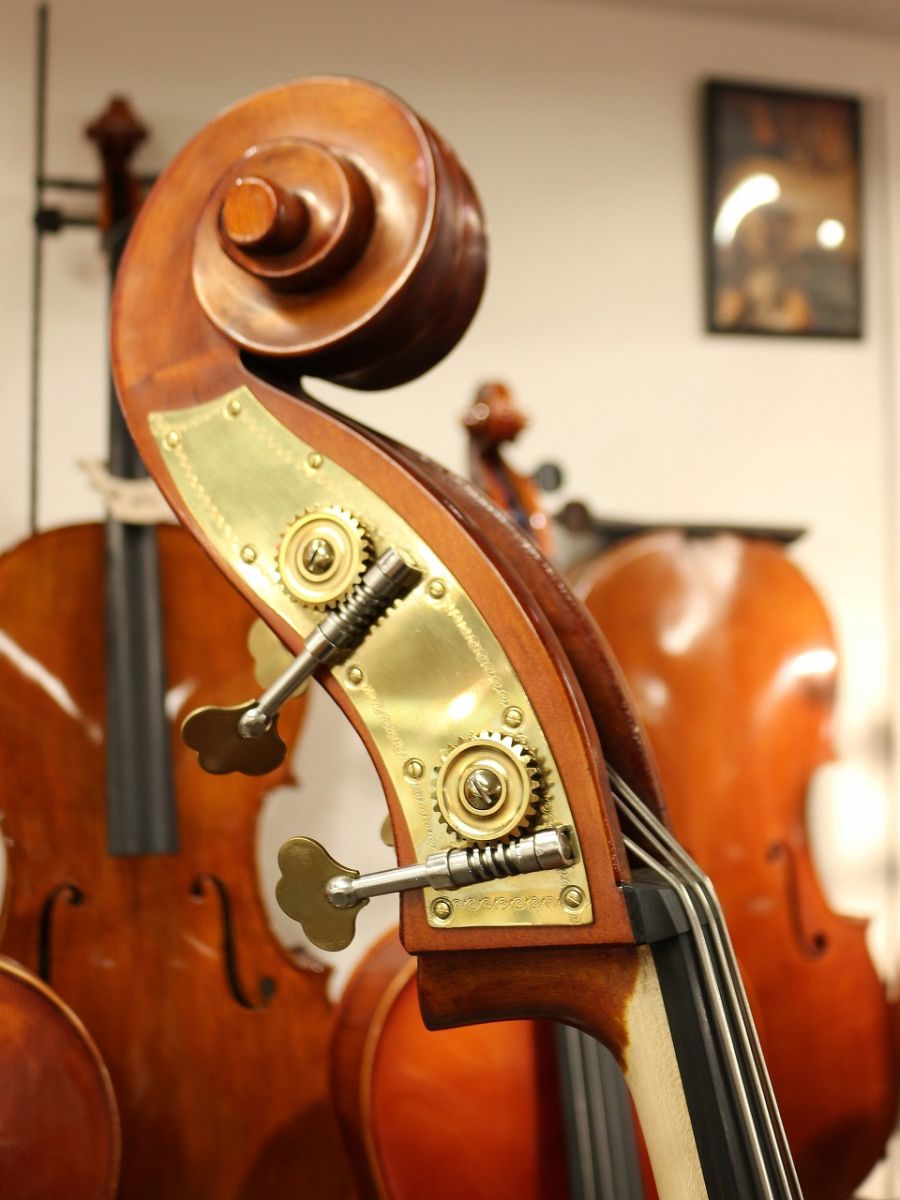 Gliga Gems II Gamba Shape/Flat Back | 【クロサワ楽器店オンライン Gliga Gems II Gamba Shape/Flat Back | 【クロサワ楽器店オンライン