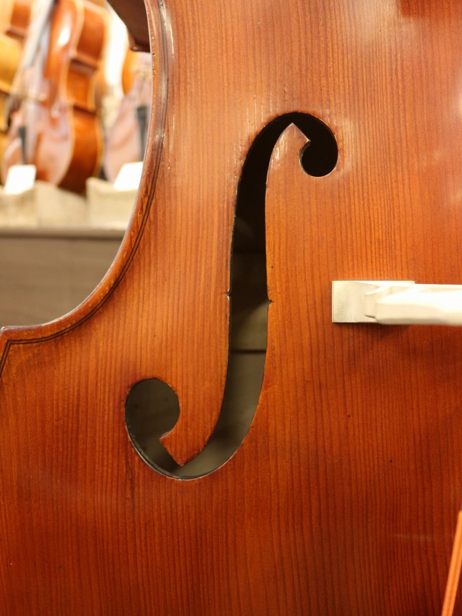 Gliga Gems II Gamba Shape/Flat Back【#318487】 | 【クロサワ