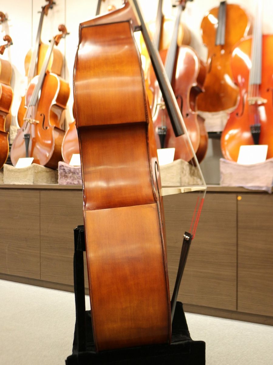 Gliga Gems II Gamba Shape/Flat Back【#368628】 | 【クロサワ楽器店 