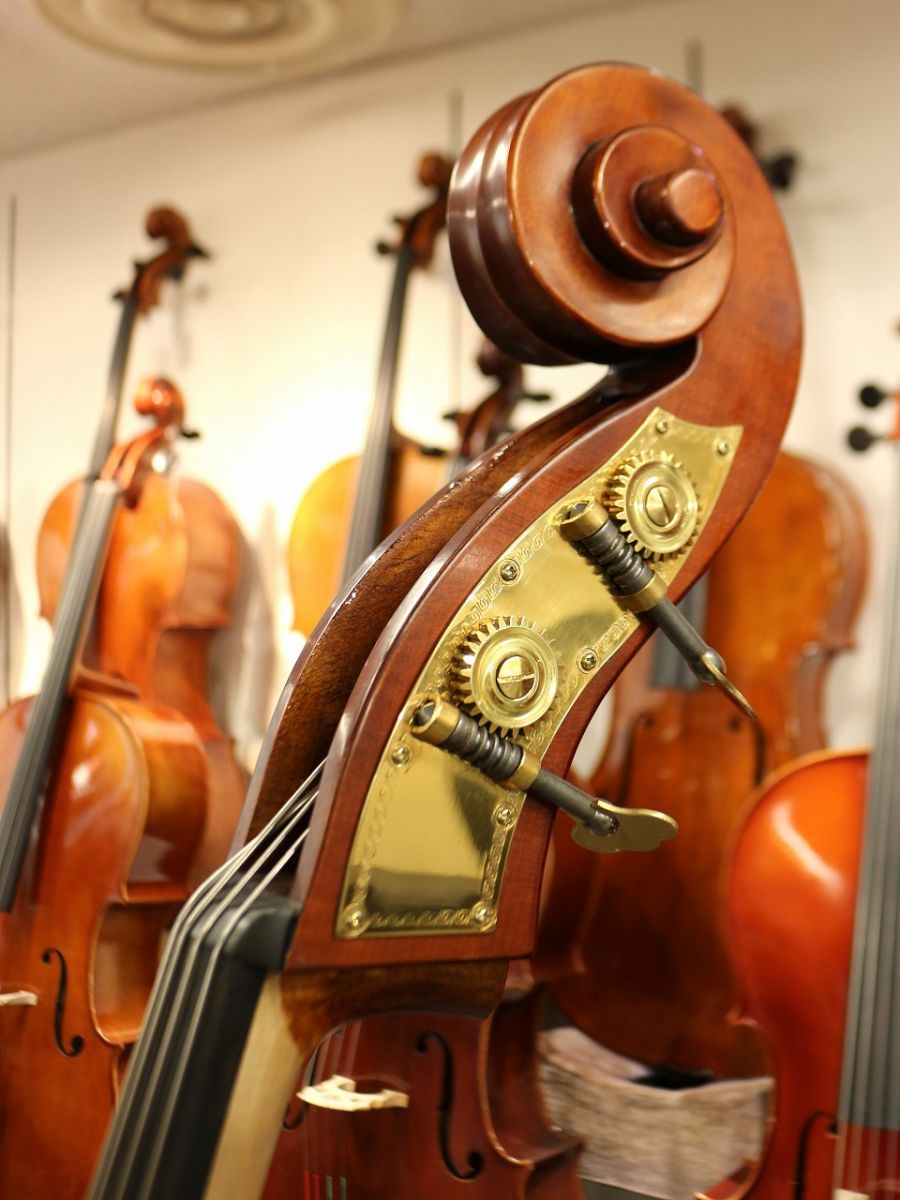 Gliga Genial I Violin Shape/Flat Back【1/2size