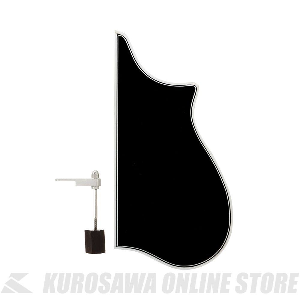 B-2F Fモデルマンドリン用 ピックガード | 【クロサワ楽器店オンライン