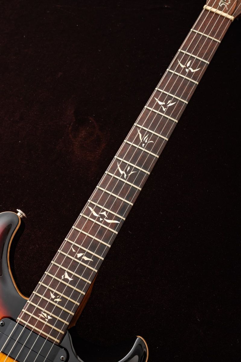 513 Rosewood Brazilian Rosewood Neck Tobacco Sunburst 2004年製