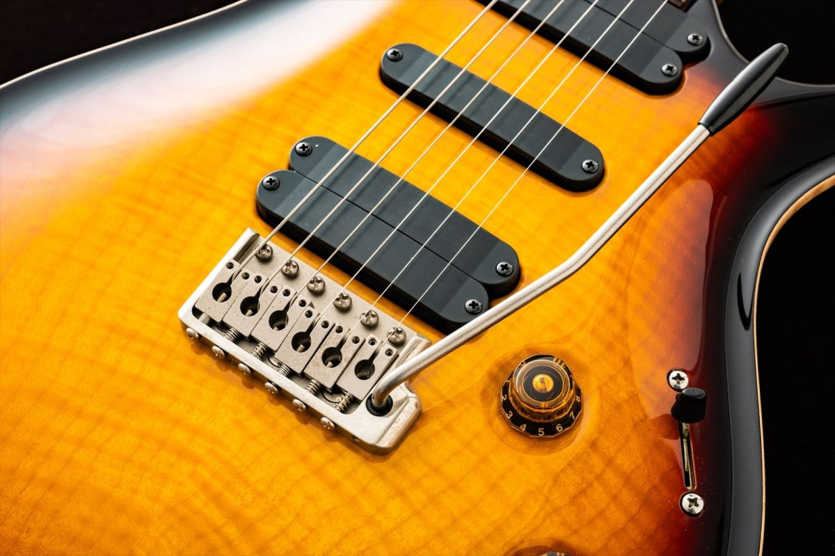 513 Rosewood Brazilian Rosewood Neck Tobacco Sunburst 2004年製