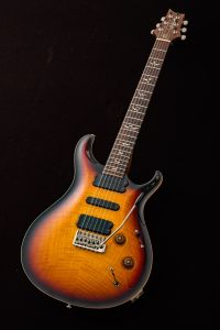 513 Rosewood Brazilian Rosewood Neck Tobacco Sunburst 2004年製