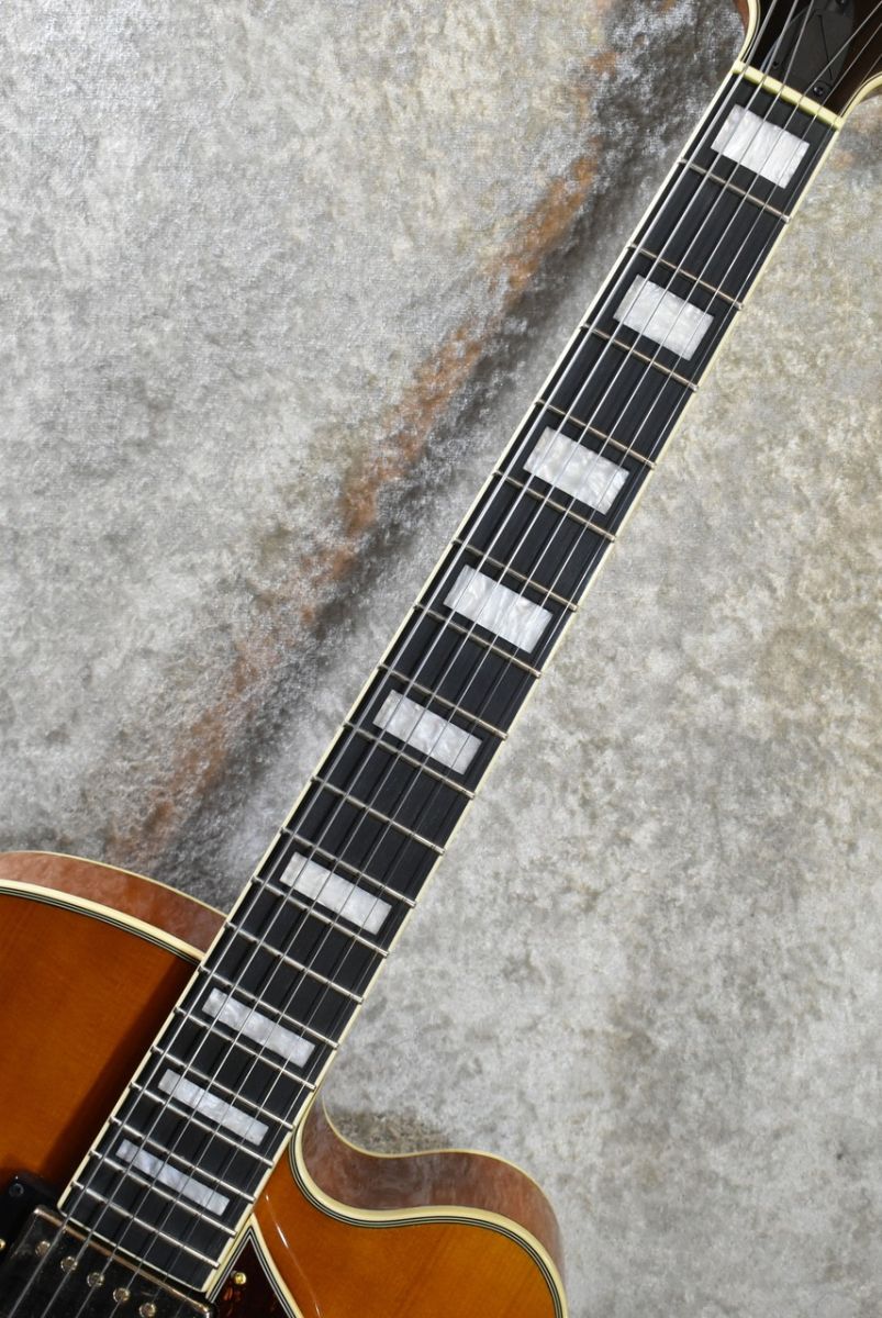 AF95 Dark Amber #PW24100384 | 【クロサワ楽器店オンラインショップ