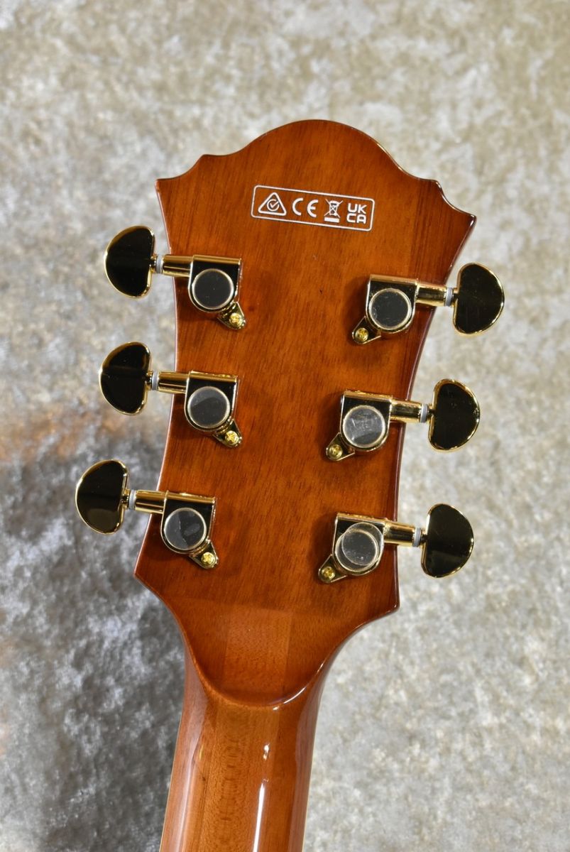 AF95 Dark Amber #PW24100384 | 【クロサワ楽器店オンラインショップ