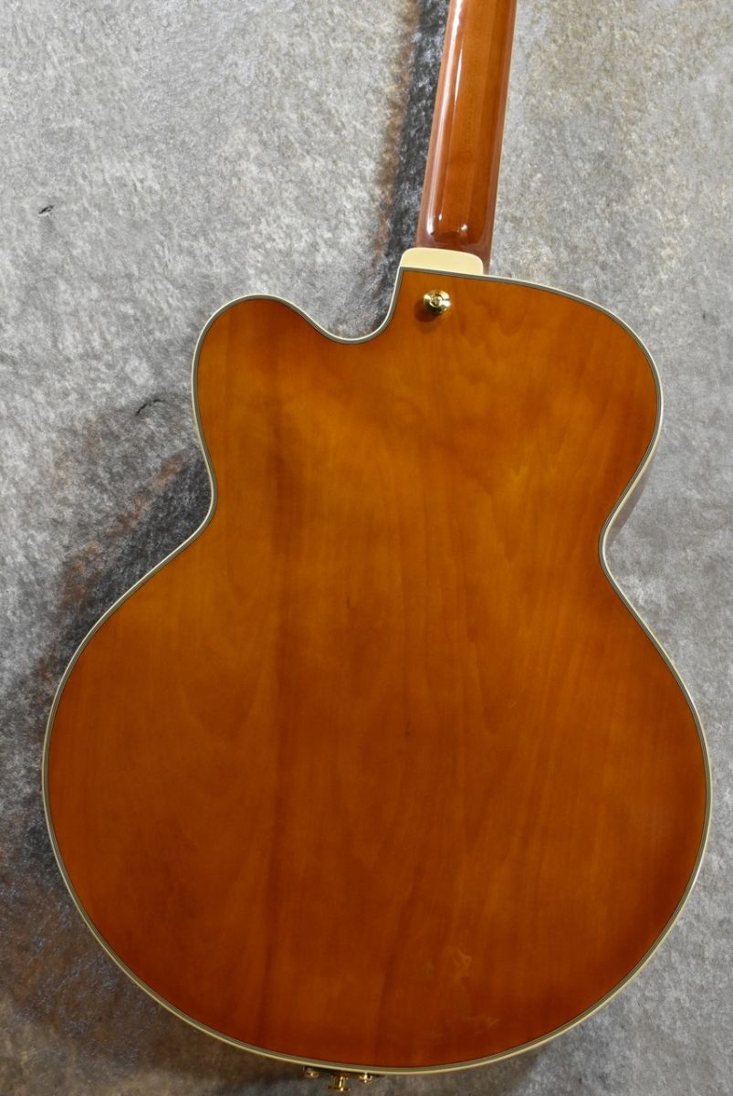 AF95 Dark Amber #PW24100384 | 【クロサワ楽器店オンラインショップ