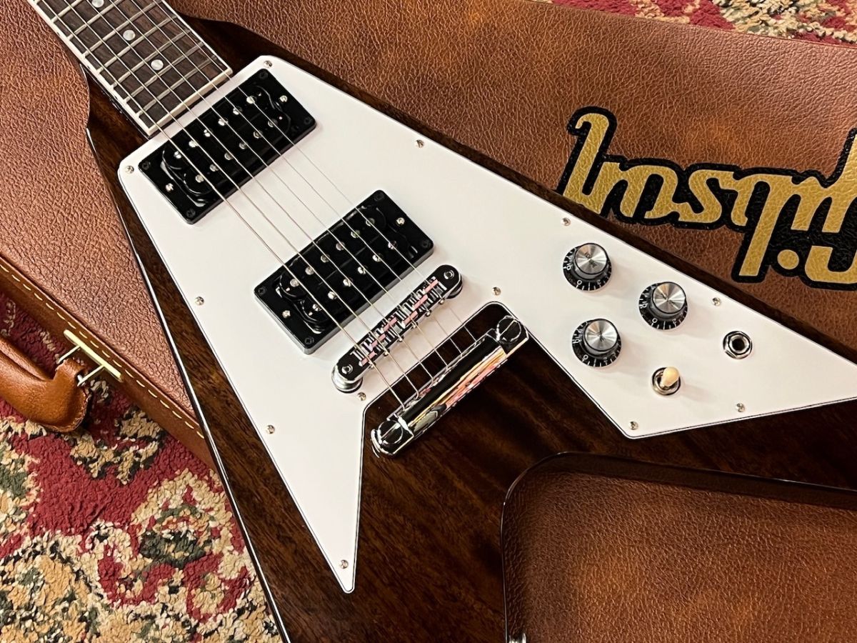 Gibson ハムバッカー 2個　フライングV取り外し品 Gibson ハムバッカー 2個 フライングV取り外し品 Gibson Flying