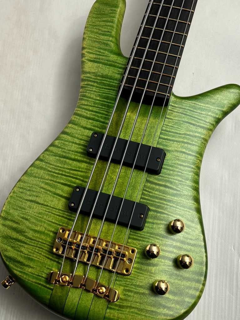 Warwick Streamer Stage 1（値下げしました）