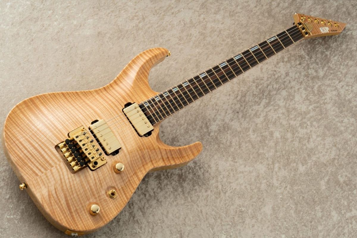 HORIZON-CTM 50th Anniversary 