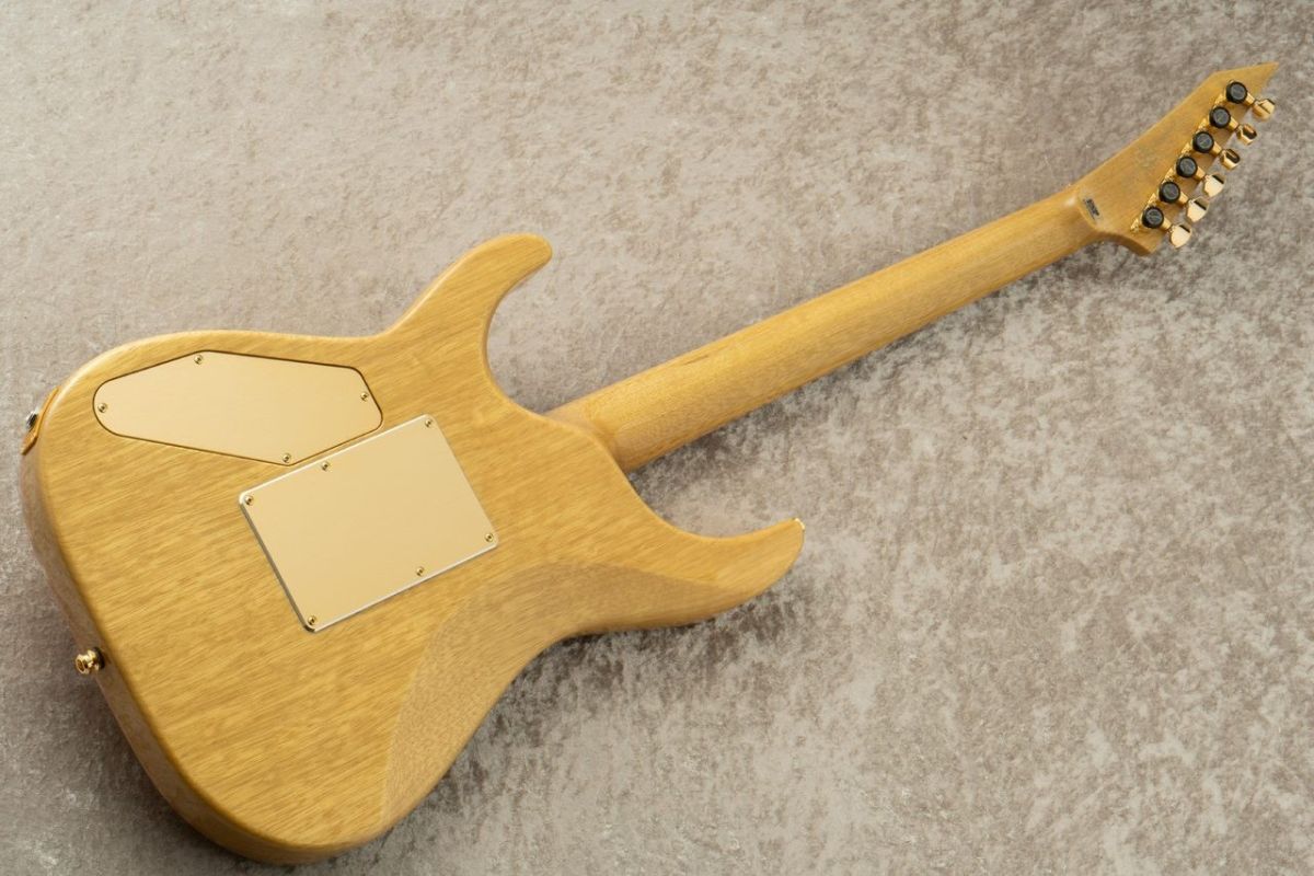 HORIZON-CTM 50th Anniversary 