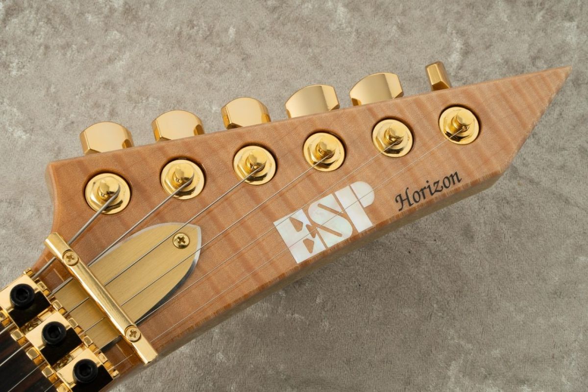 HORIZON-CTM 50th Anniversary 