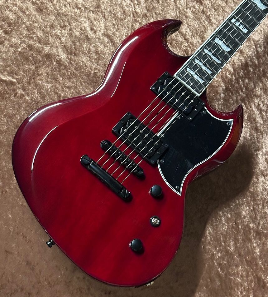 VIPER FL -See Thru Black Cherry- | 【クロサワ楽器店オンライン