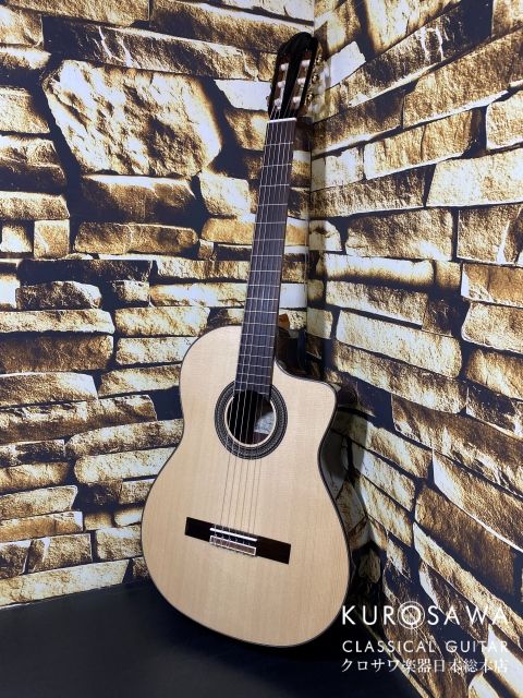 訳有り価格、Aria ADW-300  (FISHMAN搭載) 美品　手渡しOK ARIA ADW-300 アコースティックギター 装飾インレイ - メルカリ