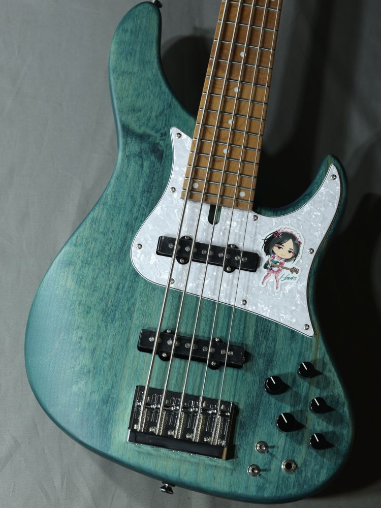 WL524-H.J.FREAKS BLUS | 【クロサワ楽器店オンラインショップ】いい