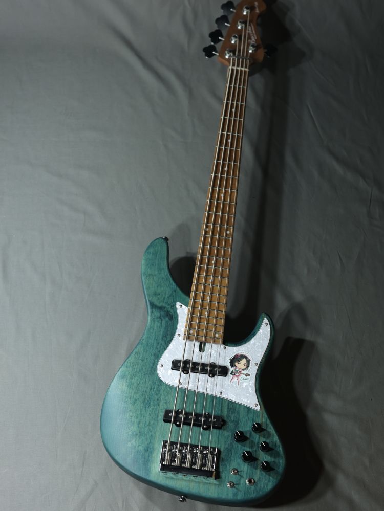 WL524-H.J.FREAKS BLUS | 【クロサワ楽器店オンラインショップ】いい