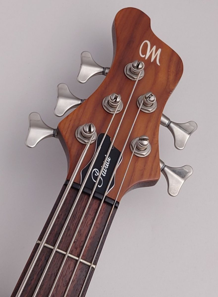 Patriot 5 Classic TEW Ash Top | 【クロサワ楽器店オンラインショップ