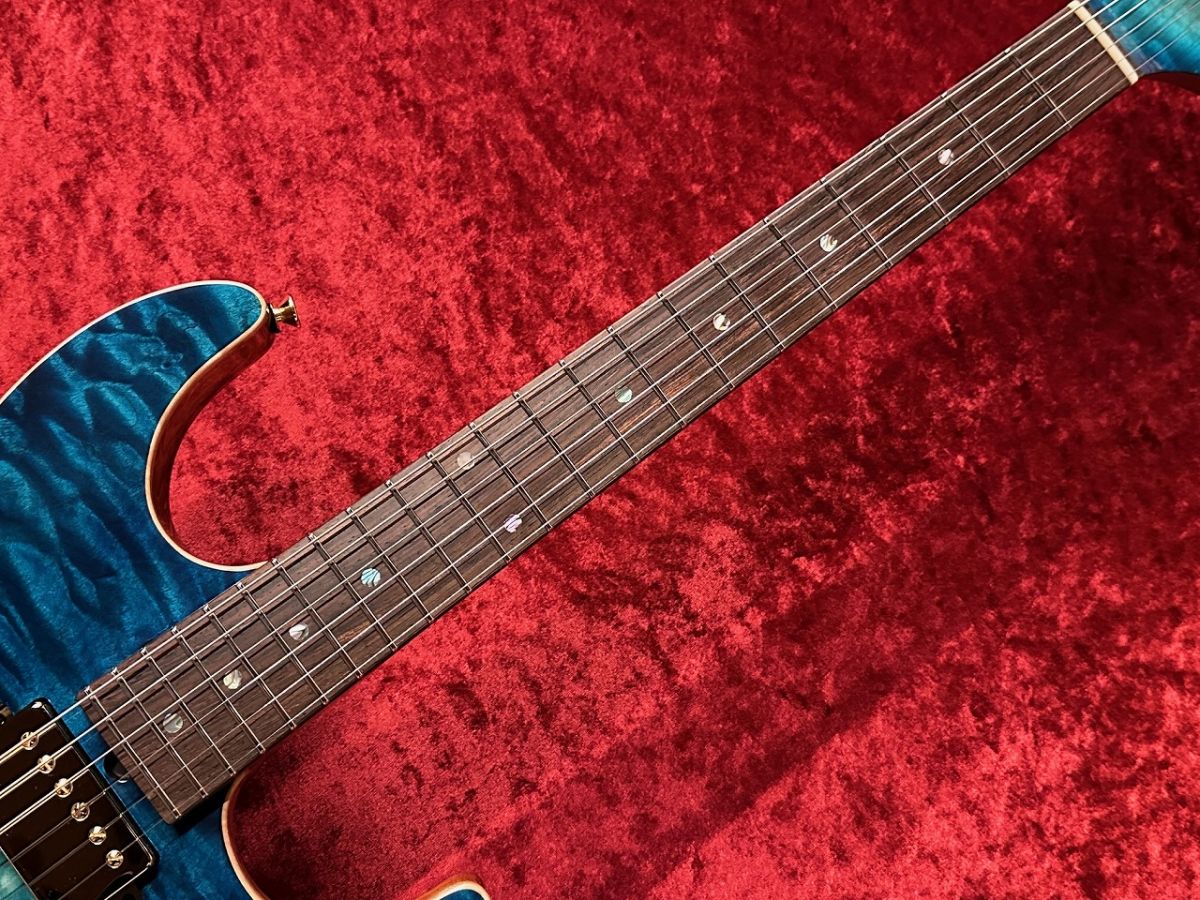 ギター T's Guitars DST-22 T'S Guitars Dst-22 Electric Guitar | eBay