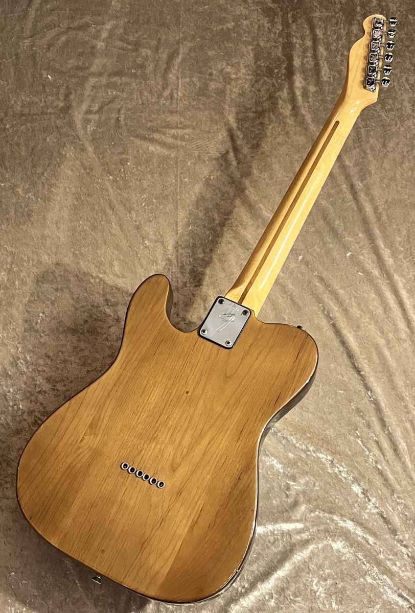 Telecaster Walnut 1973-4年製 | 【クロサワ楽器店オンラインショップ