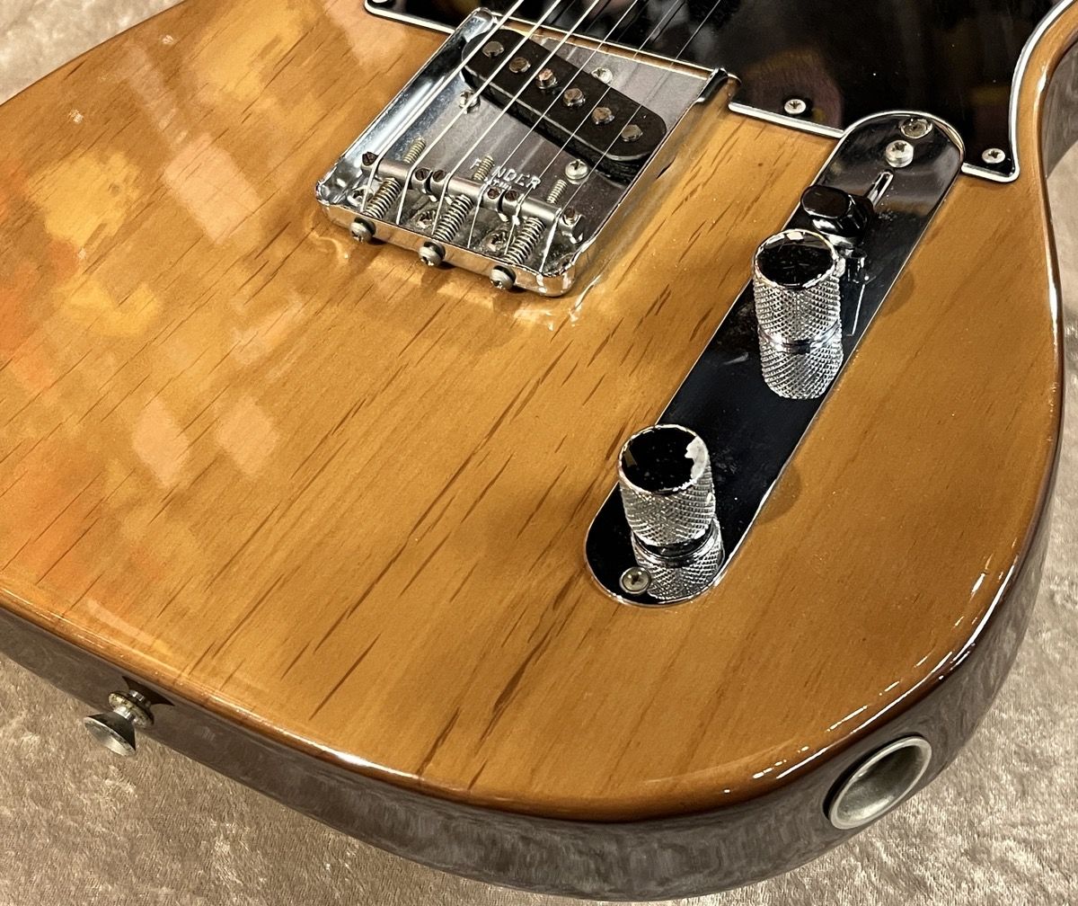 Telecaster Walnut 1973-1974年製Vintage | 【クロサワ楽器店