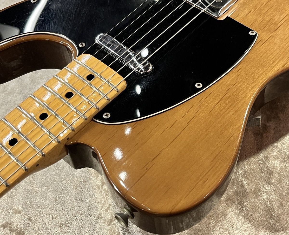 Telecaster Walnut 1973-4年製 | 【クロサワ楽器店オンライン