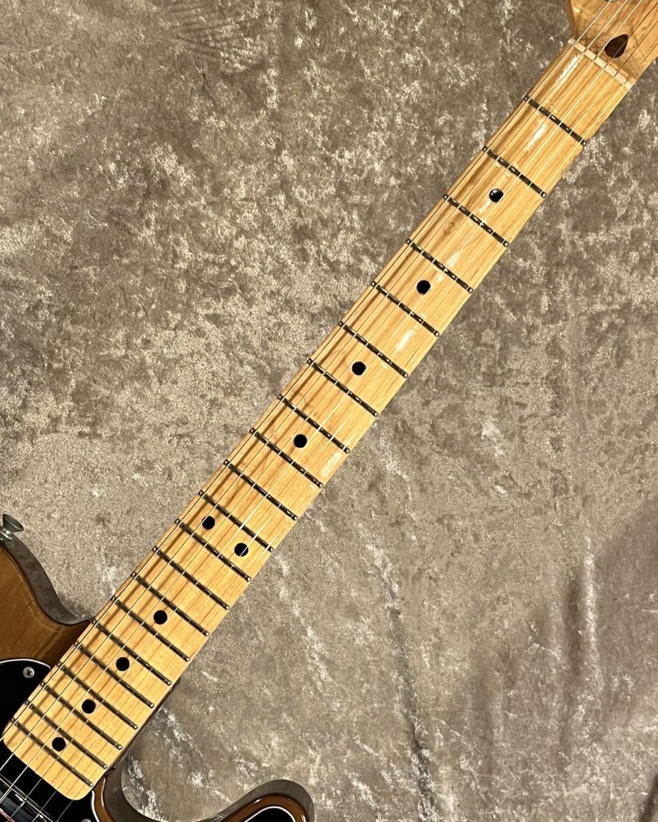 Telecaster Walnut 1973-1974年製Vintage | 【クロサワ楽器店