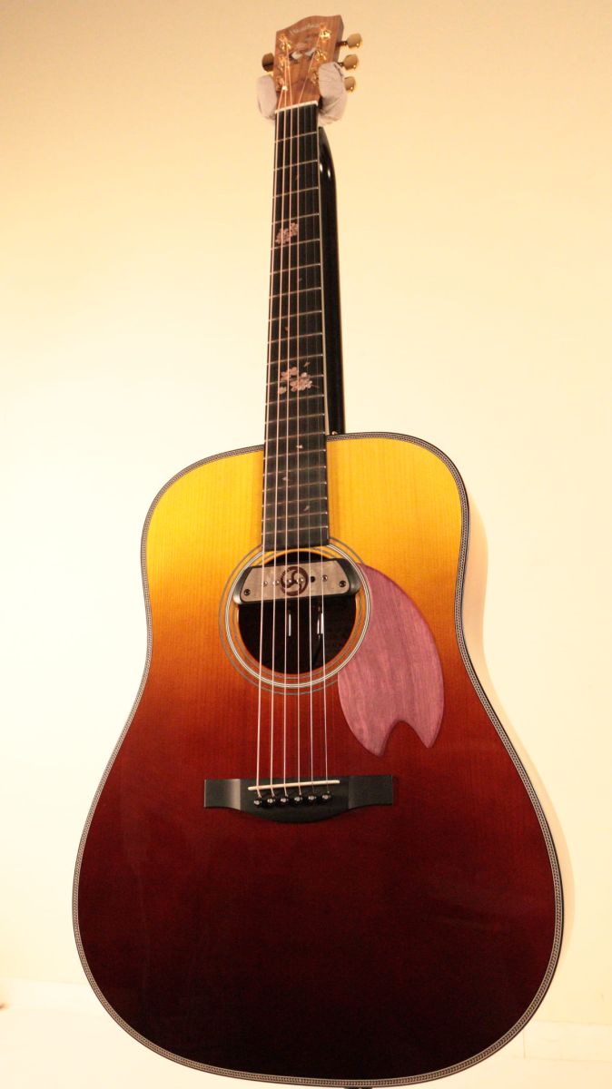 HD-SC`24 SF S/STD 琥珀 | 【クロサワ楽器店オンラインショップ】いい