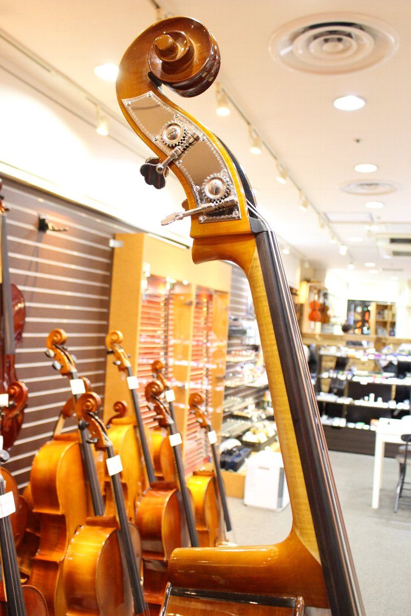 Reghin ウッドベース　3/4 SOLID TOP Reghin Top Solid Gamba Shape&RoundBack 3/4 | 【クロサワ楽器