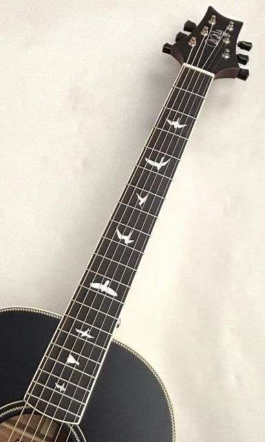 SE P20E | 【クロサワ楽器店オンラインショップ】いい楽器とのいい