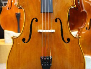 チェロ⭐︎ドイツ製 Rainer Leonhardt No.809 | 【クロサワ楽器店オンラインショップ】いい