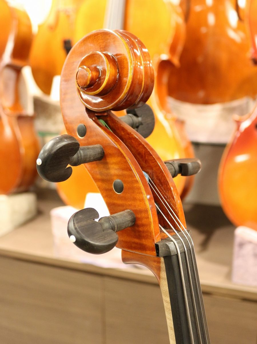 Gliga Gama II | 【クロサワ楽器店オンラインショップ】いい楽器との