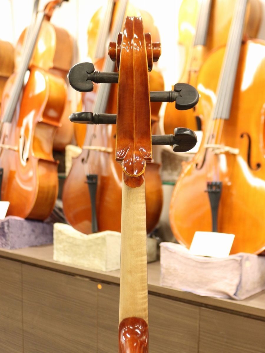 Gliga Gama II | 【クロサワ楽器店オンラインショップ】いい楽器との