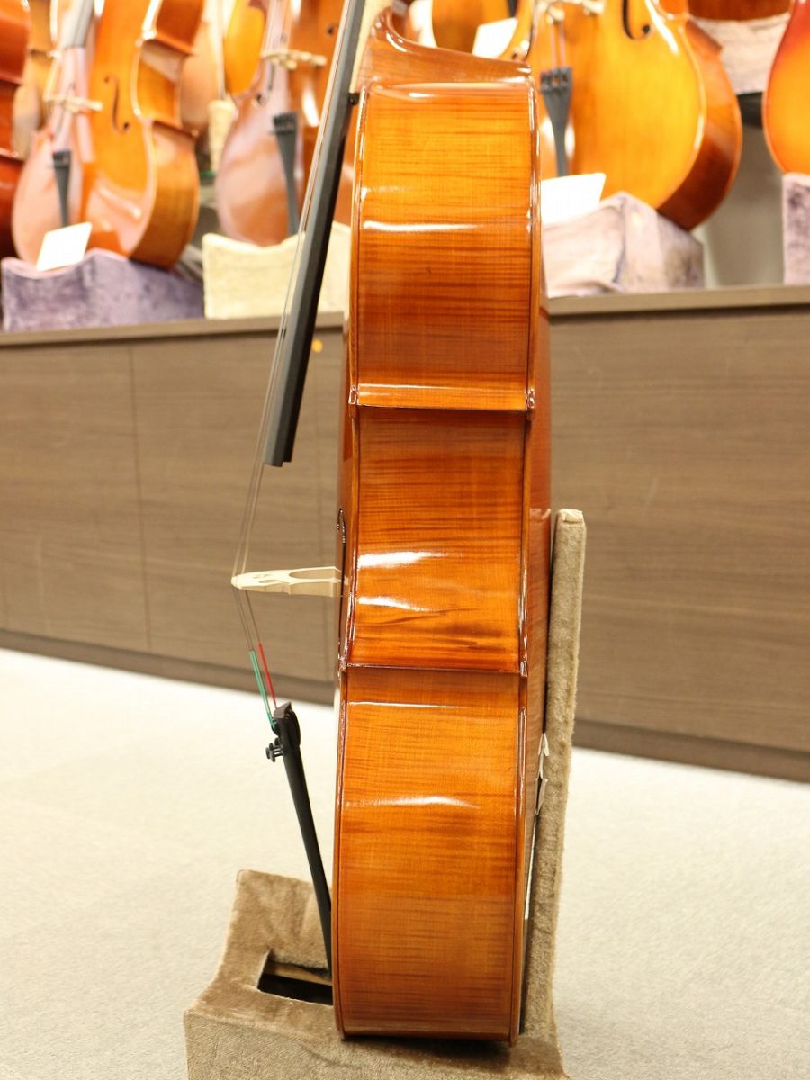 Gliga Gama II | 【クロサワ楽器店オンラインショップ】いい楽器との