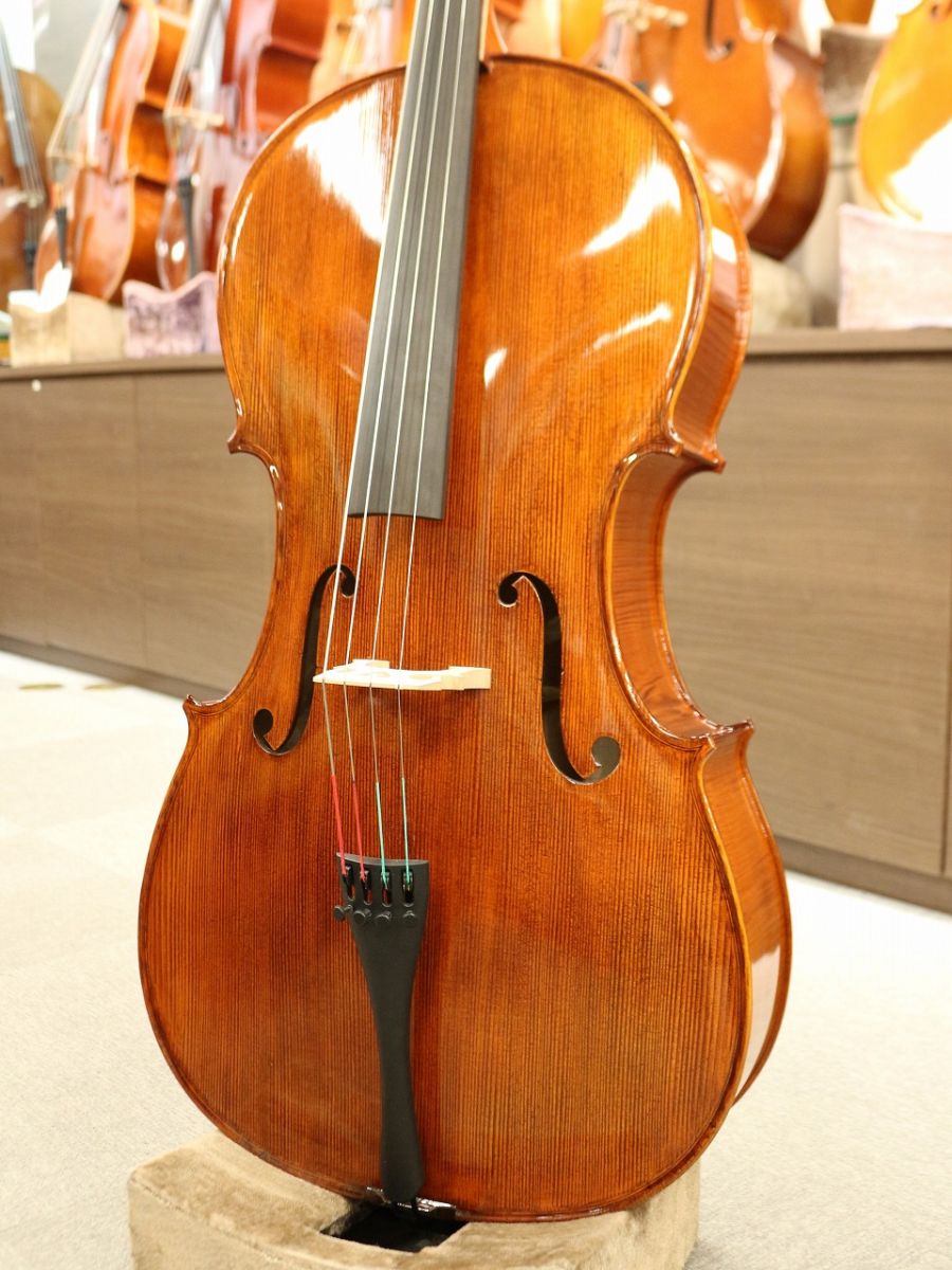 Gliga Gama II | 【クロサワ楽器店オンラインショップ】いい楽器との