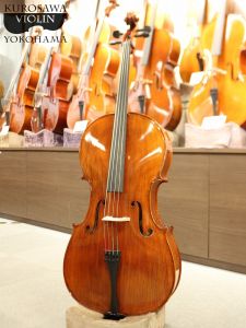 エレクトリックチェロ チェロ ＞ エレクトリックの検索結果【楽器検索デジマート】