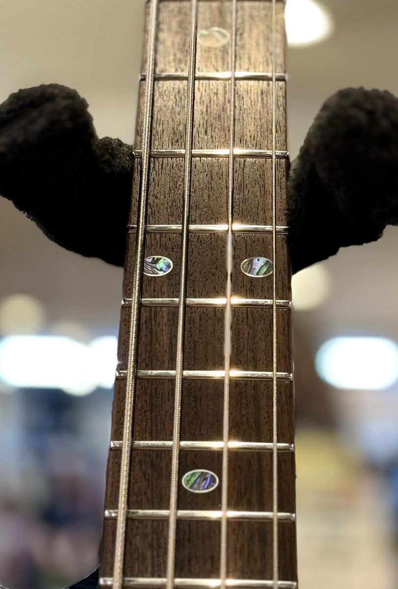 C.S. Rhino 4st FT -深海(SKI)/MH- | 【クロサワ楽器店オンライン