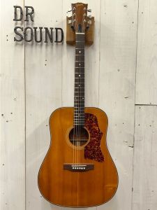 Gibson1970年 J-50デラックス　ハードケース付 Gibson J-50 Deluxe |ドルフィンギターズ
