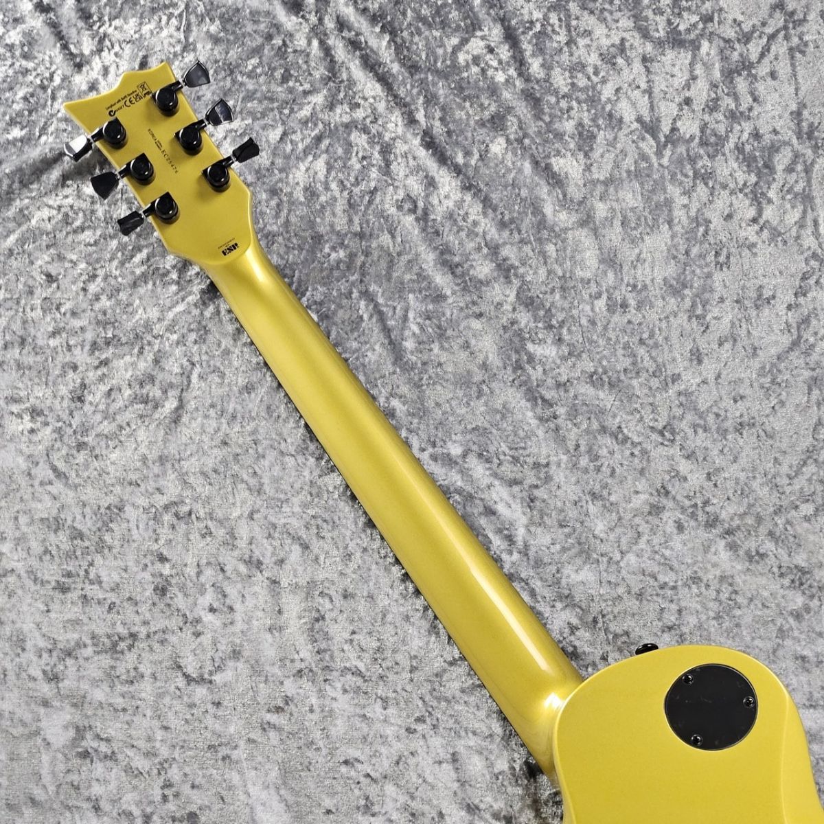 EC-2025 50th Anniversary | 【クロサワ楽器店オンラインショップ