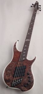 Z3 5st -Burled Maple Top- | 【クロサワ楽器店オンライン