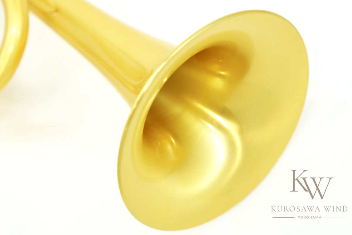 JP by Taylor Satin Lacquer【アウトレット】 | 【クロサワ楽器店