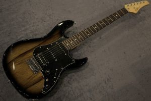FUJIGEN (フジゲン) エレキギター FGN @ BOS2-EW1-M-HH/DMT(Dark