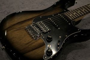 FUJIGEN (フジゲン) エレキギター FGN @ BOS2-EW1-M-HH/DMT(Dark